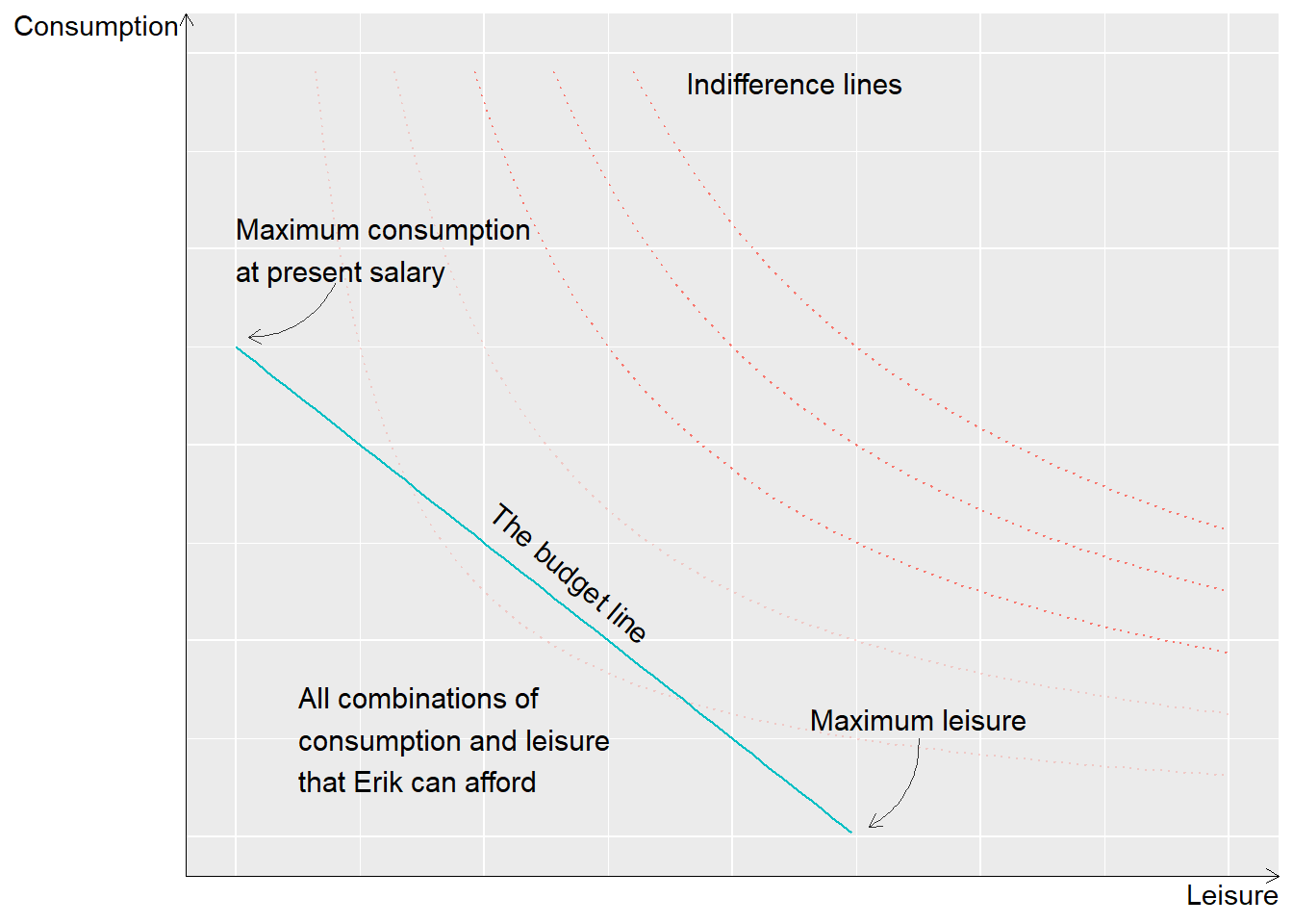 The budget line and different indifference curves